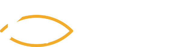Dr Kamal El Aoumari